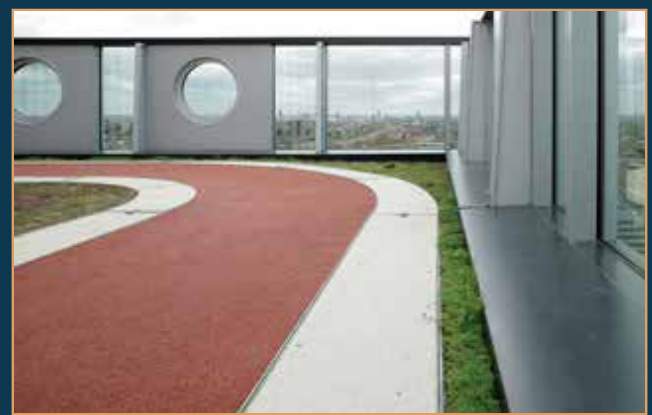  urban bkc crown Jogging Track