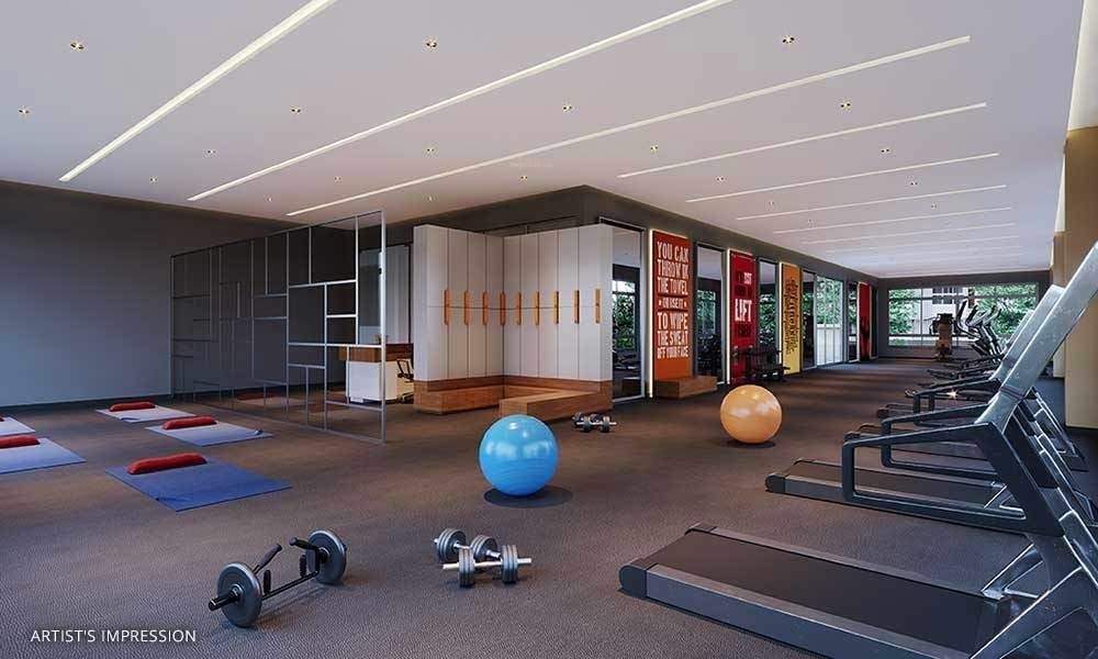  happinest kalyan project b Others