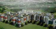 Orchard Phase 1