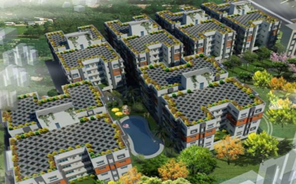  orchard-phase-1 Images for Project