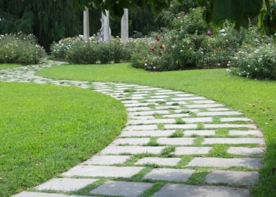  exquisite-wing-4 Jogging Track