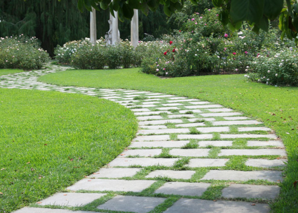 exquisite wing 4 Jogging Track