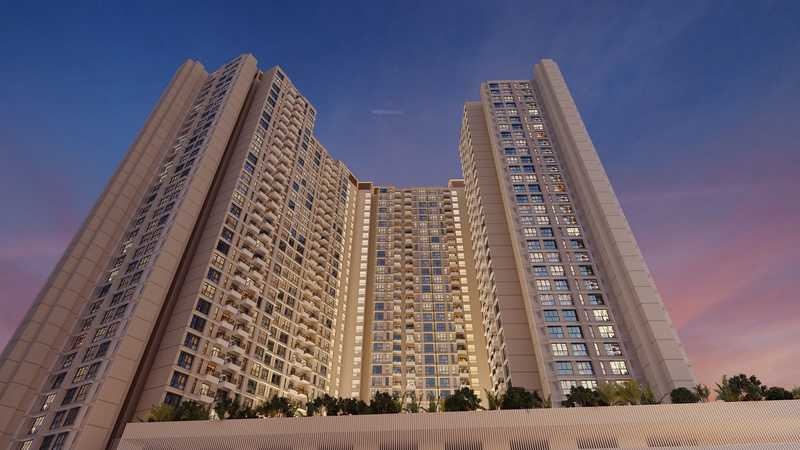 nexzone aster 2 Elevation