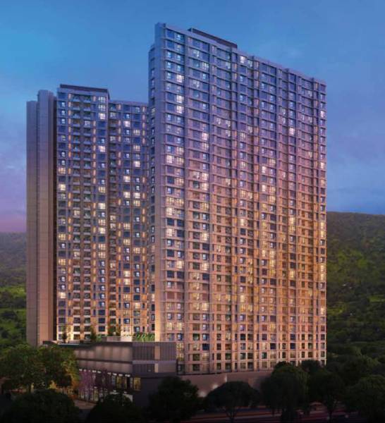  nexzone-daffodil-2 Elevation