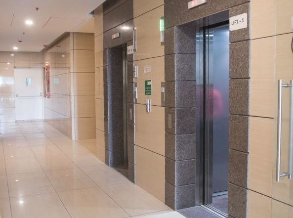  nexzone-daffodil-2 Others