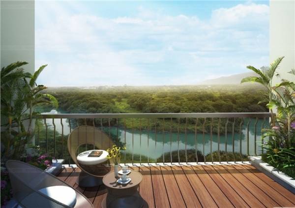  nexzone-daffodil-2 Others