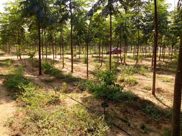 Images for mainOther