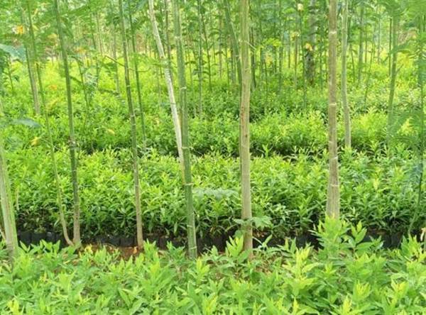 Images for mainOther