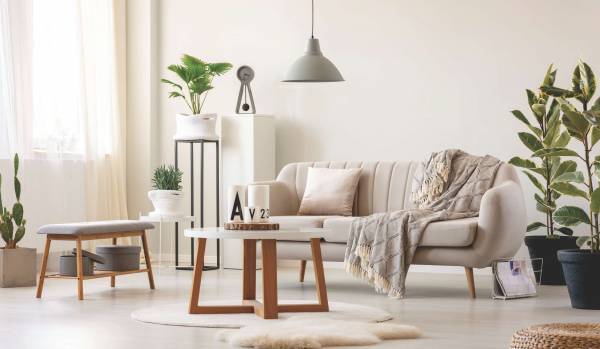  arv-regalia Living Area