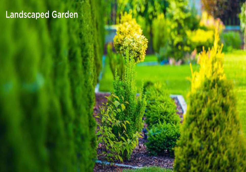  29 gold coast phase 5 Landscaped Gardens