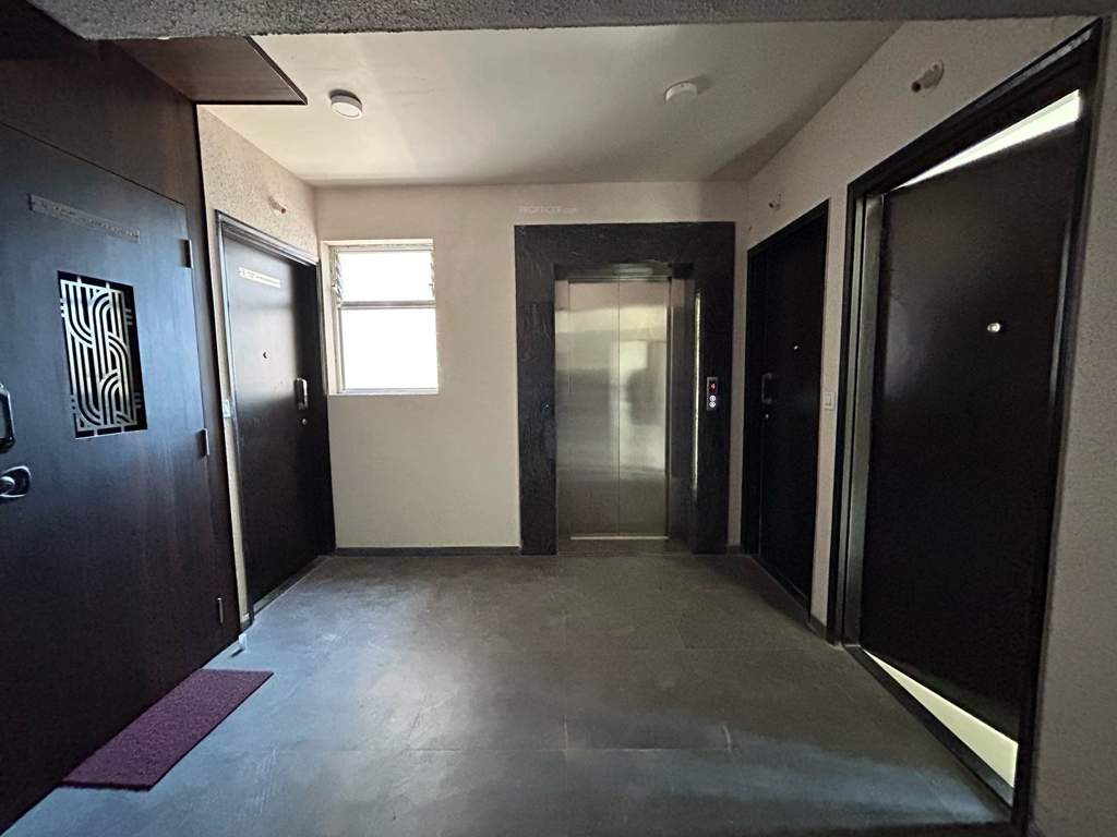  elysian wing a and b Lift(s)