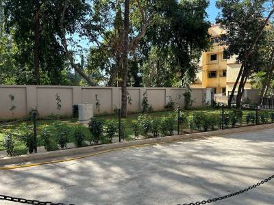  elysian-wing-a-and-b Others