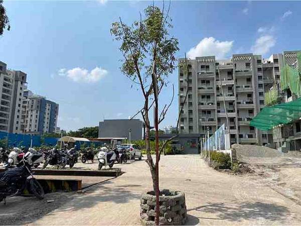  graffiti-elan-phase-1 Construction Status Nov-21