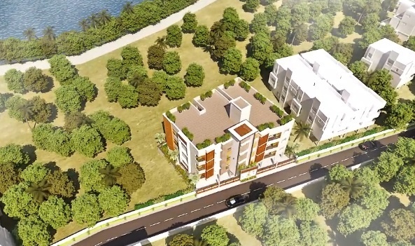  peach-blossom Others