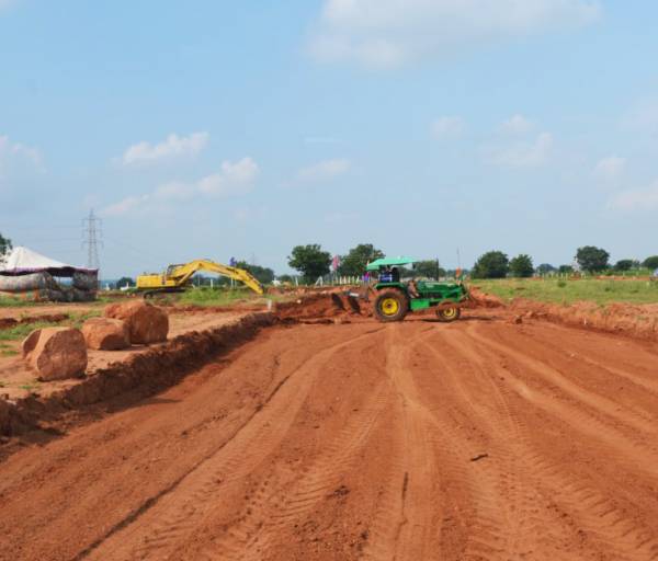 Images for mainOther