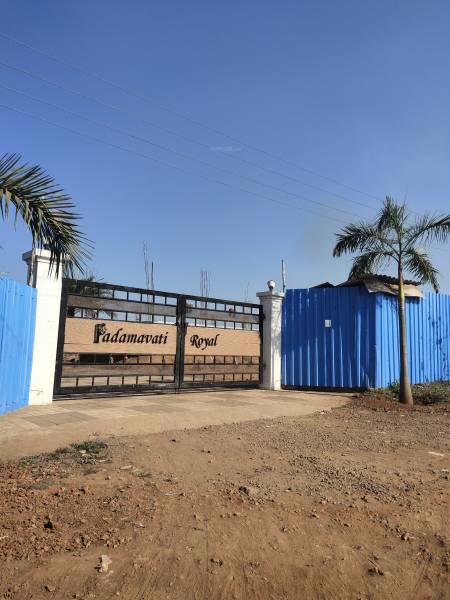  royal-phase-1 Elevation