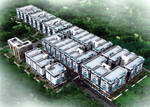  nexa Images for Project