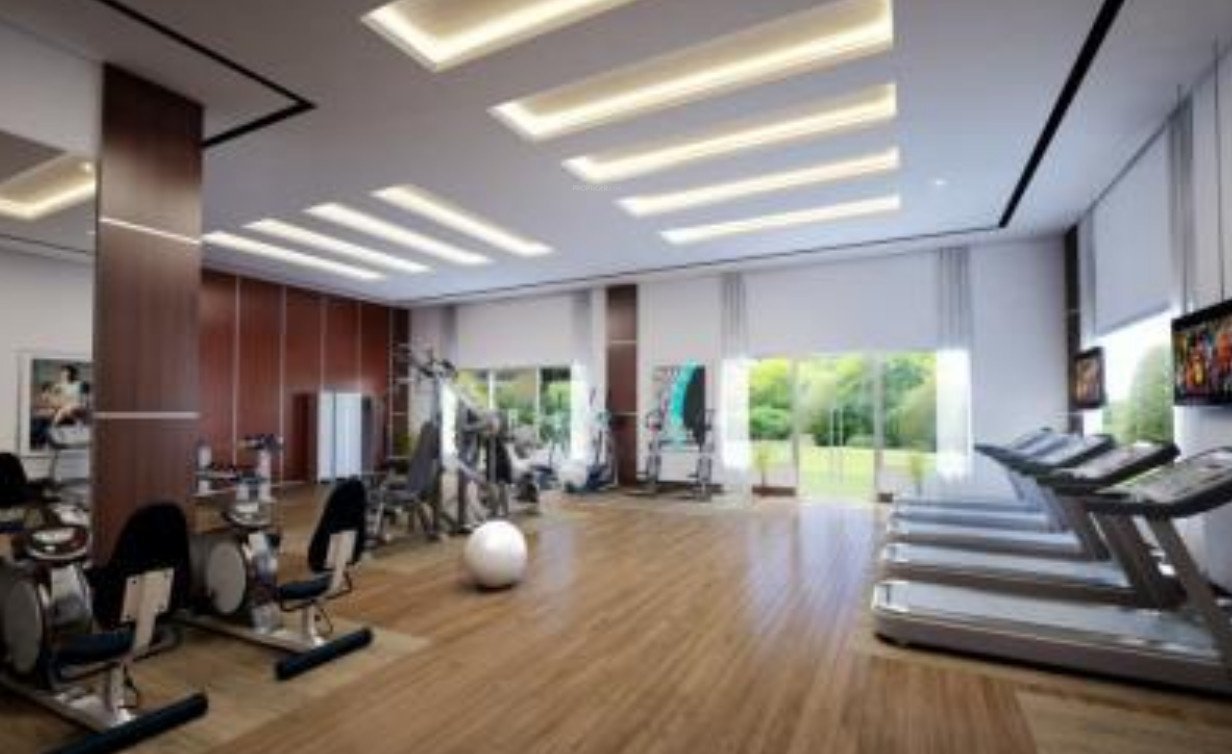  suburbia bungalow Gymnasium