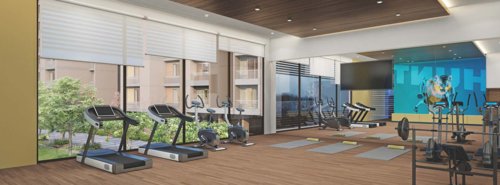  orchid-legacy Gymnasium