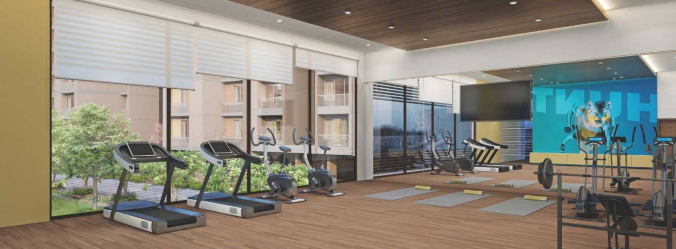  orchid legacy Gymnasium