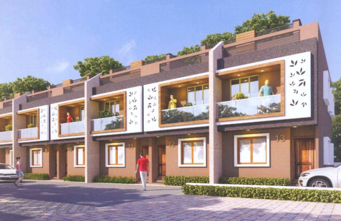  sun elegance Images for Project