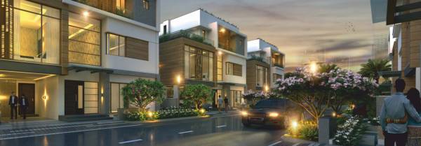  iris Images for Project