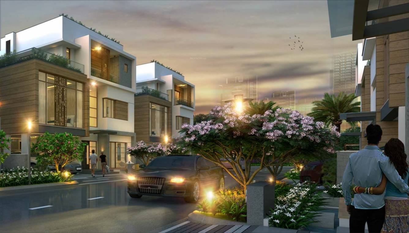  iris Street Lighting