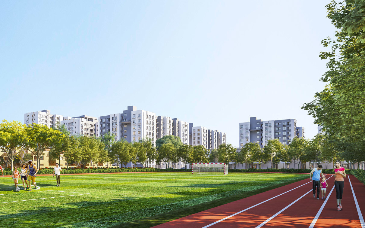  ruby phase ii Others