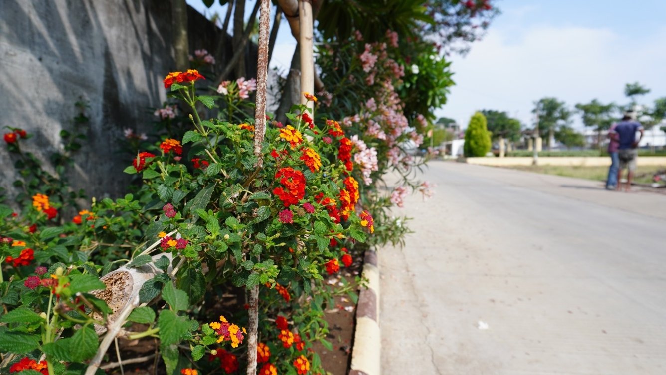  greenville phase 1 Others