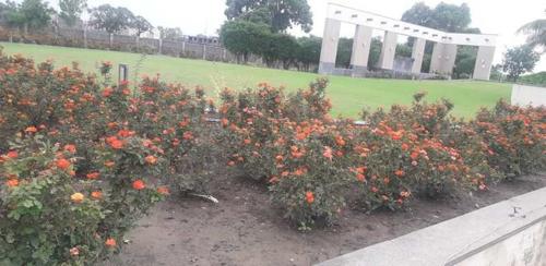 Landscape Garden and Tree Planting soumya-santosa-phase-a Landscape Garden and Tree Planting