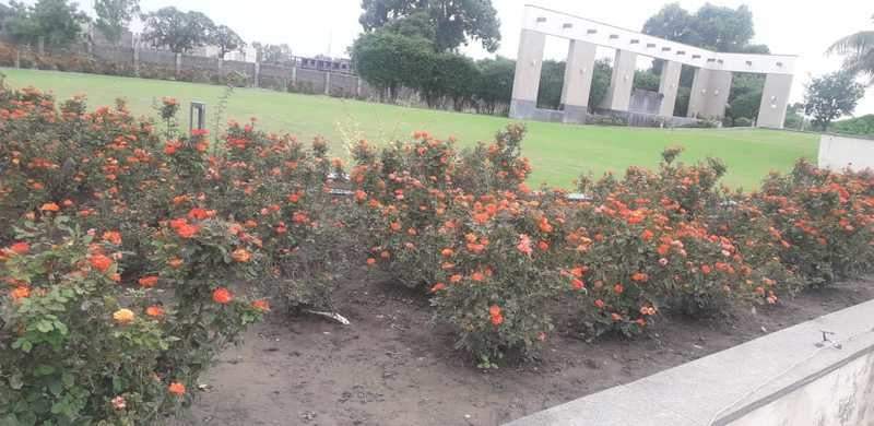  soumya santosa phase a Landscape Garden and Tree Planting