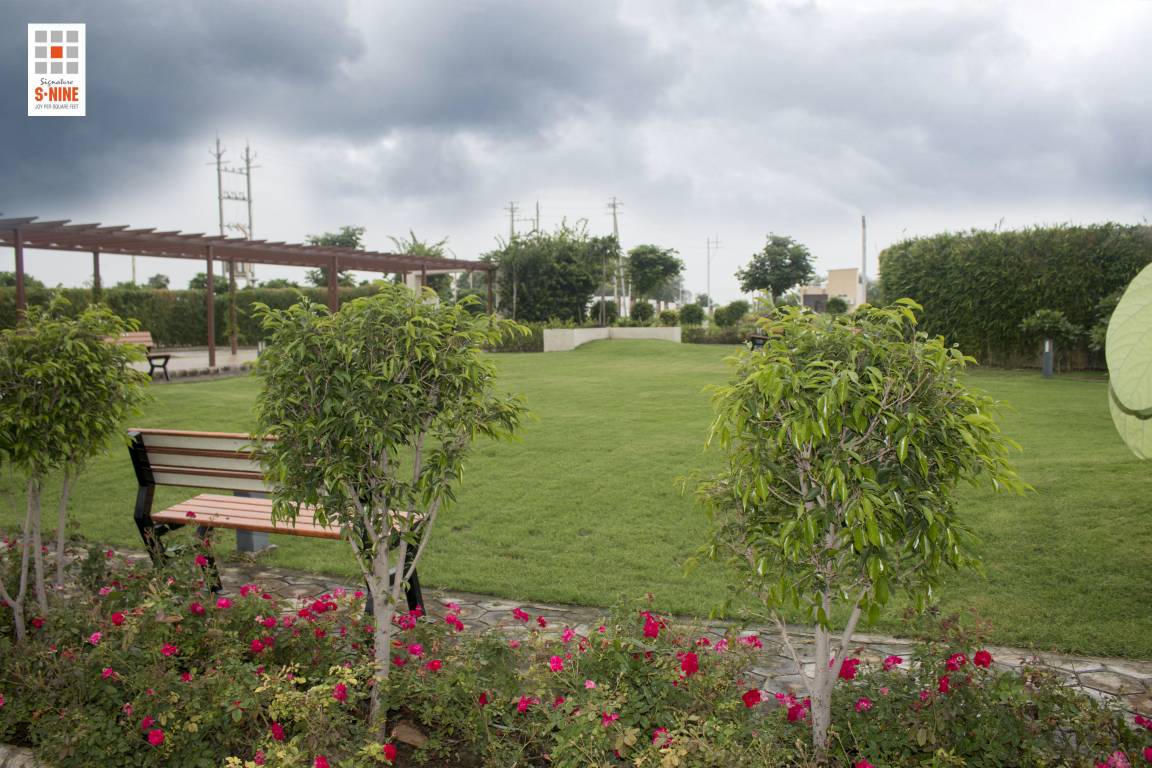  signature s 9 phase 1 Plot