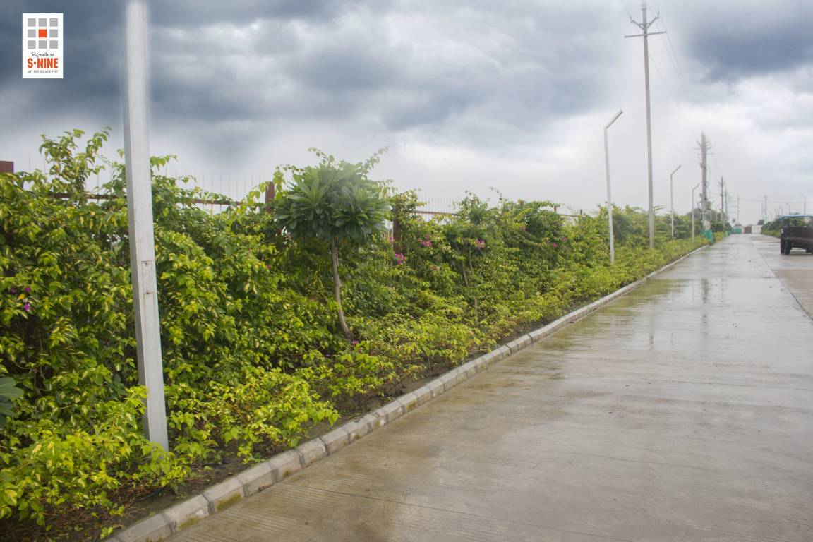  signature s 9 phase 1 Plot