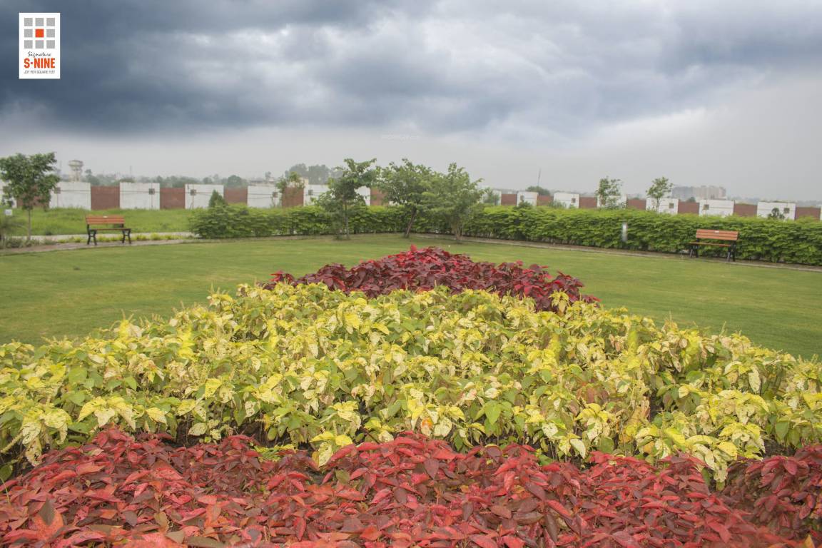  signature s 9 phase 1 Plot