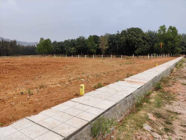 Plot green-hill-view Plot