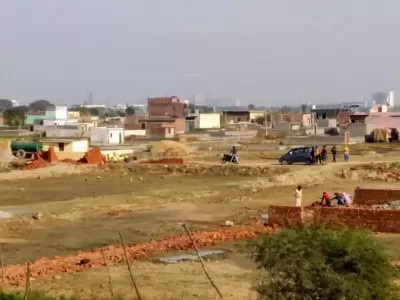  reedocs-city-part-1 Elevation