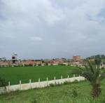  reedocs-city-part-1 Elevation