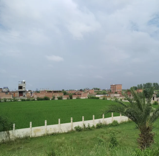  reedocs city part 1 Elevation