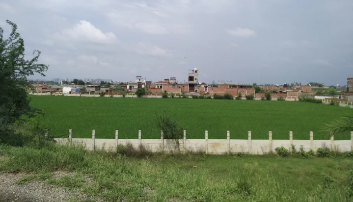  reedocs city part 1 Elevation