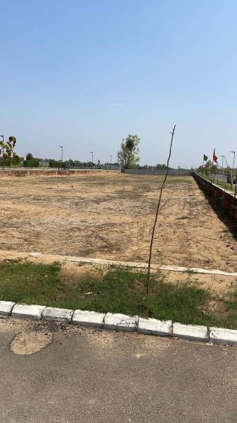  corona-greens Elevation