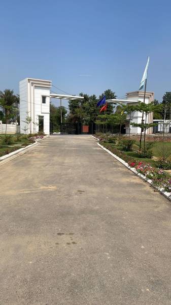  corona-greens Elevation