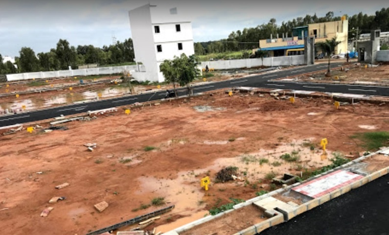  jade nester Elevation