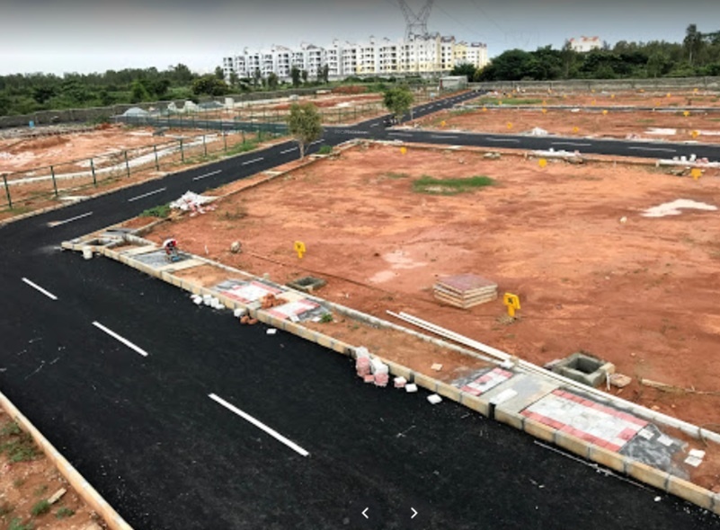  jade nester Elevation