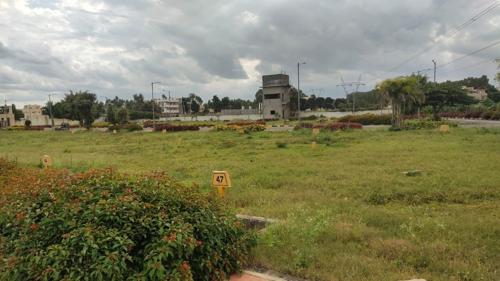 Landscape Garden and Tree Planting jade-nester Landscape Garden and Tree Planting