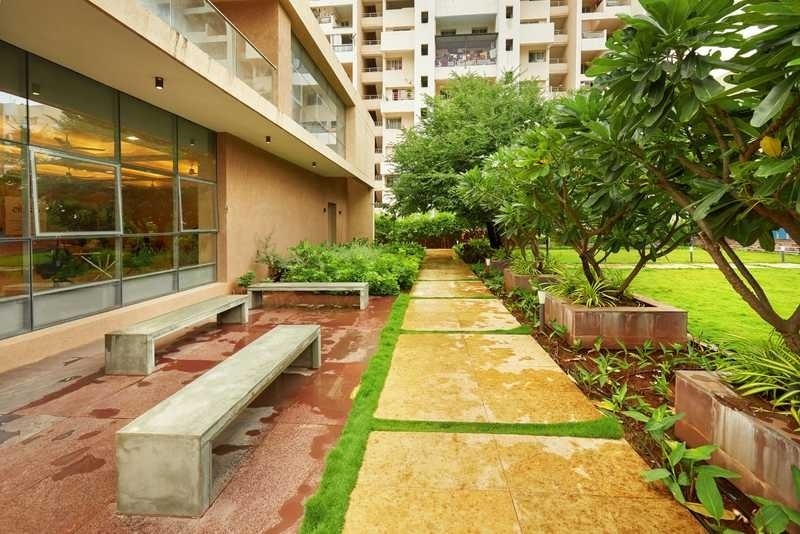  aura wing a Senior Citizen Siteout