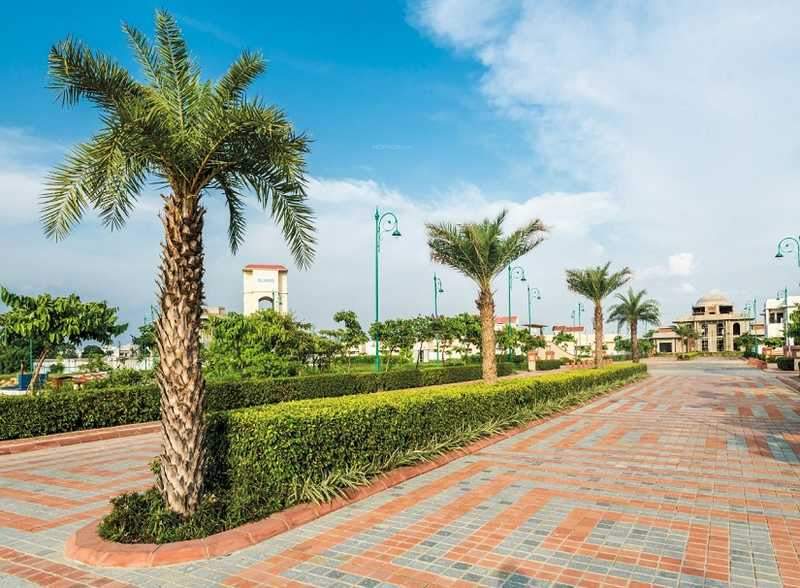  regalia Internal Roads