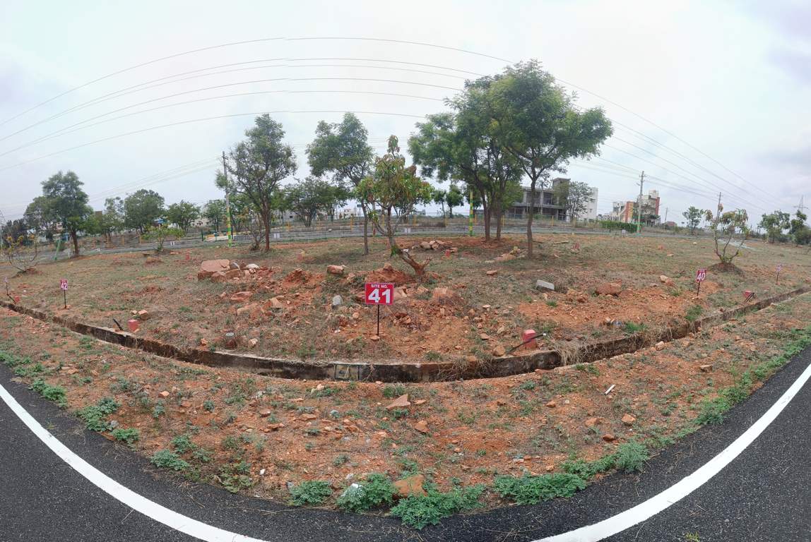  serene blossom Plot