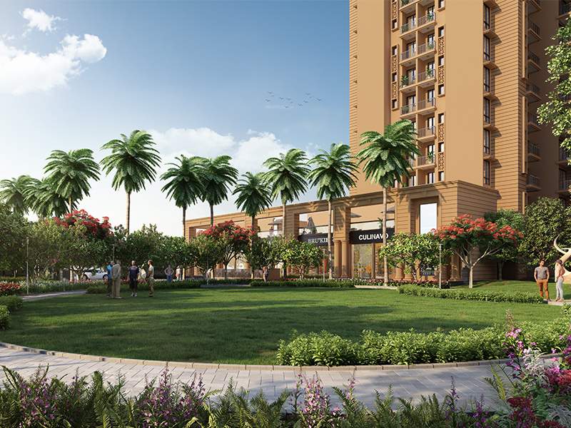  global proxima ii Elevation