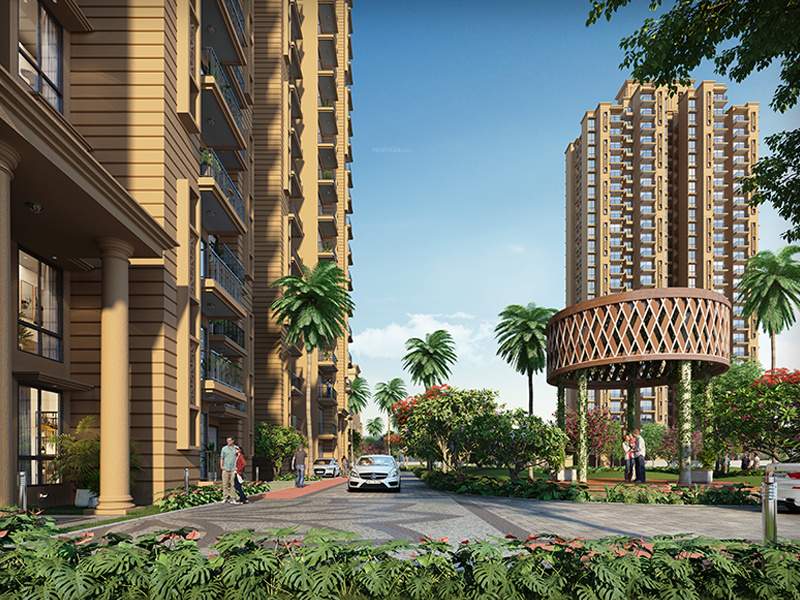  global proxima ii Elevation