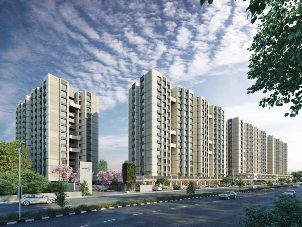  orchid-sky Images for Project